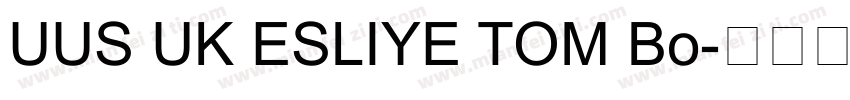 UUS UK ESLIYE TOM Bo字体转换